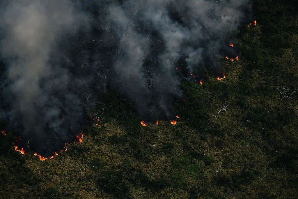 Foco de calor não é área queimada